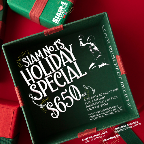 Holiday Promo Holiday Promo